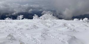 622280295_1524423856358492_96761684 622280295_1524423856358492_96761684