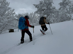 622335440_1524424289691782_56769252 622335440_1524424289691782_56769252