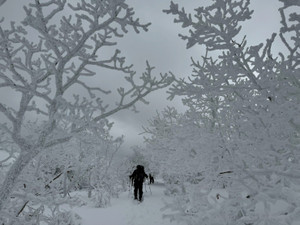 622385909_1524424276358450_101143_2 622385909_1524424276358450_101143_2