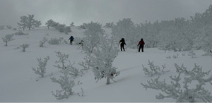 622619727_1524423779691833_74997464 622619727_1524423779691833_74997464