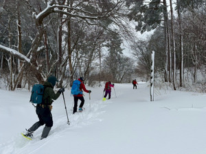 622727577_1524423756358502_43724644 622727577_1524423756358502_43724644