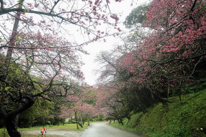 617697799_1520494666751411_51750185 617697799_1520494666751411_51750185