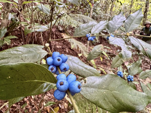 618282278_1521613349972876_56986023 618282278_1521613349972876_56986023