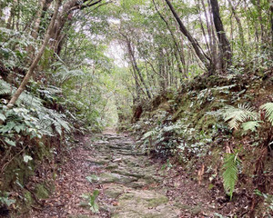 619254983_1521594906641387_89897019 619254983_1521594906641387_89897019