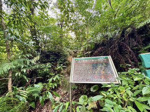 619376465_1521613359972875_59820259 619376465_1521613359972875_59820259