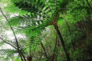 619461022_1521595223308022_239018_2 619461022_1521595223308022_239018_2