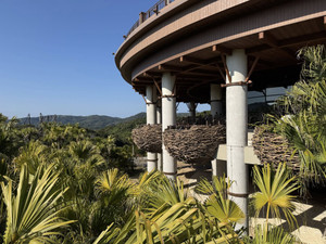 619496758_1521613223306222_86371007 619496758_1521613223306222_86371007