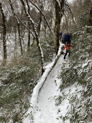 619647699_1526423642825180_79089586