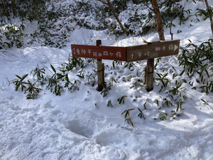 620118527_1526423489491862_60748357