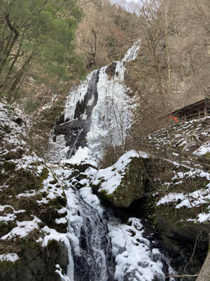 621612506_1526423219491889_920059_2