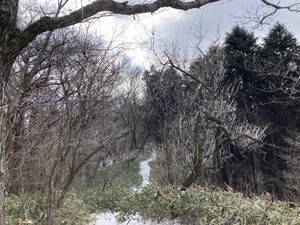 623260464_1526423669491844_61672968