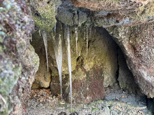 623810500_1528762665924611_17301786