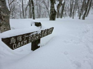 625078039_1530834585717419_19582005