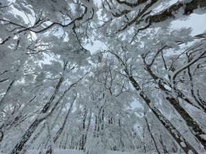 625081954_1530834635717414_78218076