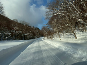 625082560_1530834669050744_14625741