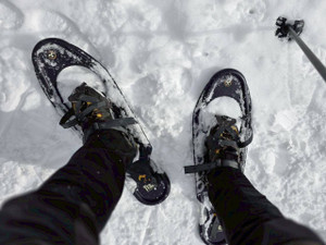 625102135_1530834642384080_69688362