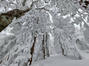 625191985_1530834532384091_78284423