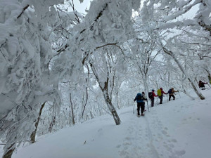 625214242_1530834482384096_44038864