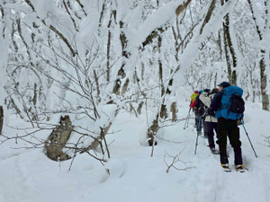 625320302_1530834502384094_26104741