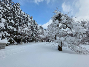 625363338_1530834689050742_94219919