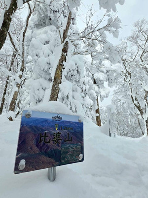 625365602_1530834465717431_52650820