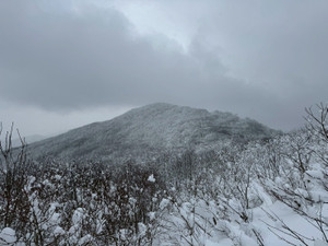 625494575_1530834675717410_27821916