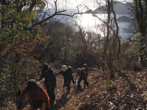 P1140135_3 P1140135_3