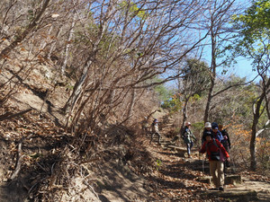 P1140228_2 P1140228_2