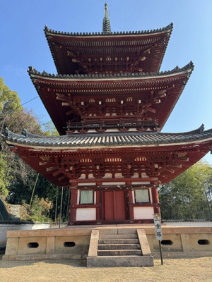 624894254_1532574402210104_37539179