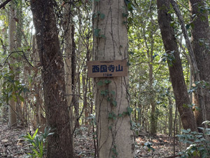 626012197_1532574398876771_73273092