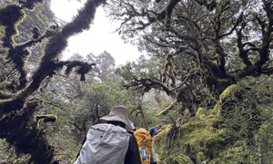 626025615_1537849868349224_69440522