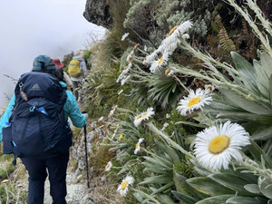 626110664_1537850175015860_89804299