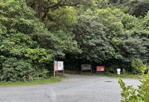 626138427_1537849961682548_55492752