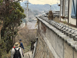 626320983_1532574305543447_78857908