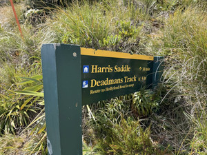 626332087_1537849945015883_57691012