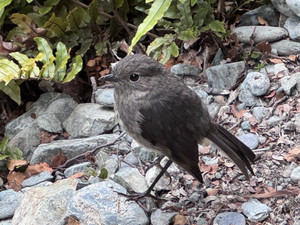 626480085_1537849745015903_51558664