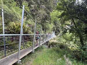 626641038_1537815661685978_59410328