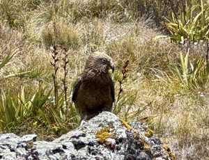 628459738_1537850238349187_28881506