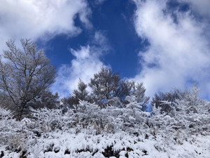 630335539_1539428798191331_21229970