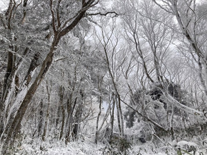 630848783_1539428881524656_38172731