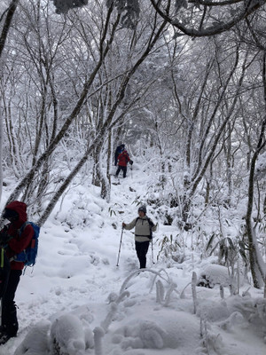 631030365_1539428941524650_40820663