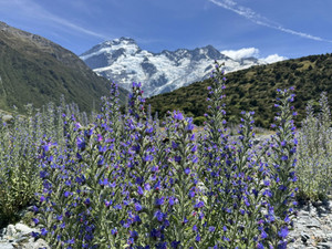 629678665_1540266058107605_52740483