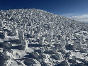 637737440_1554053936728817_184703_2 637737440_1554053936728817_184703_2