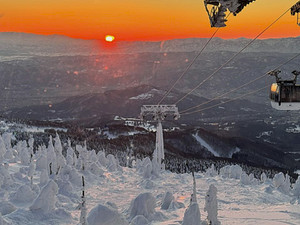 638239493_1554046006729610_28001869 638239493_1554046006729610_28001869