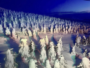 639148730_1554054020062142_59255160 639148730_1554054020062142_59255160