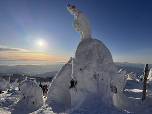 639312365_1554053930062151_78260545 639312365_1554053930062151_78260545