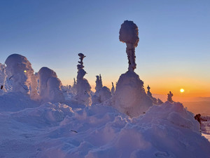 639794750_1554054006728810_77463768 639794750_1554054006728810_77463768