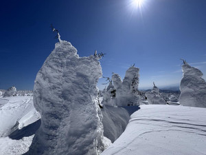 637144193_1555225189945025_51605678