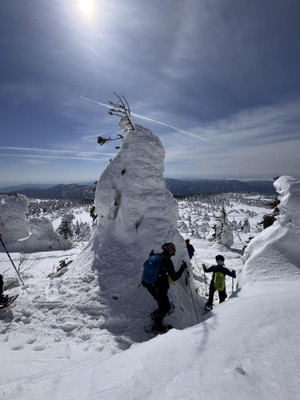 637745000_1555225169945027_15589332