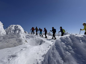 637759454_1555225229945021_75541769